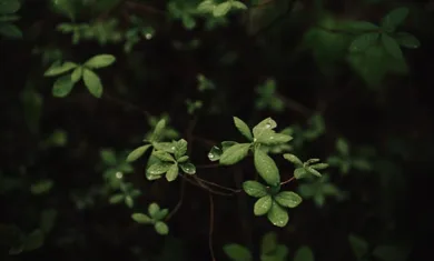 ben karpinski uR pNOruRPk unsplash