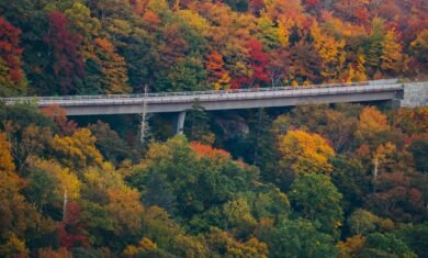 The Blue Ridge Ballet Riding the Parkway from Virginia to North Carolina 2