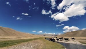 Kyrgyzstan Motorcycle Route