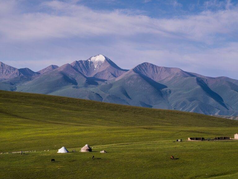Home Mongolia Gobi & Khovsgol